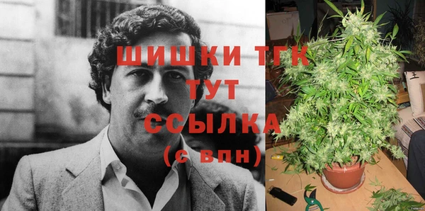 дживик Сафоново